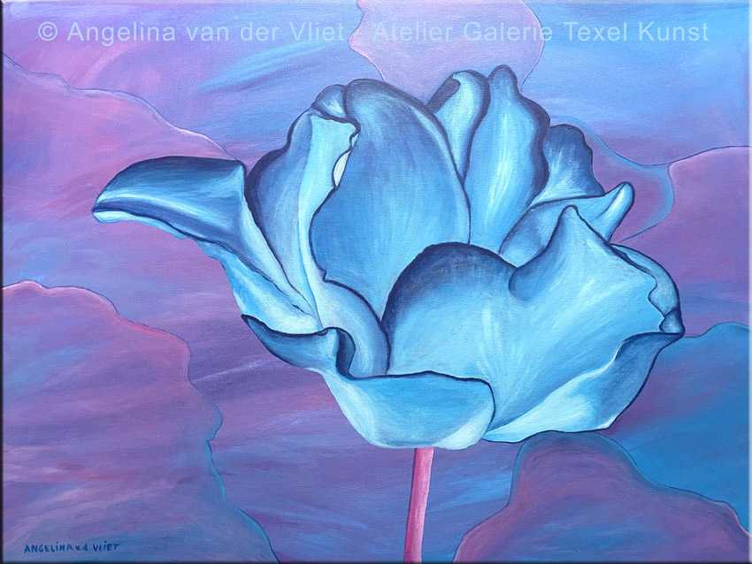 Gemaelde Blau Lila Tulpe Texel von Kuenstlerin Angelina van der Vliet - Stiehl